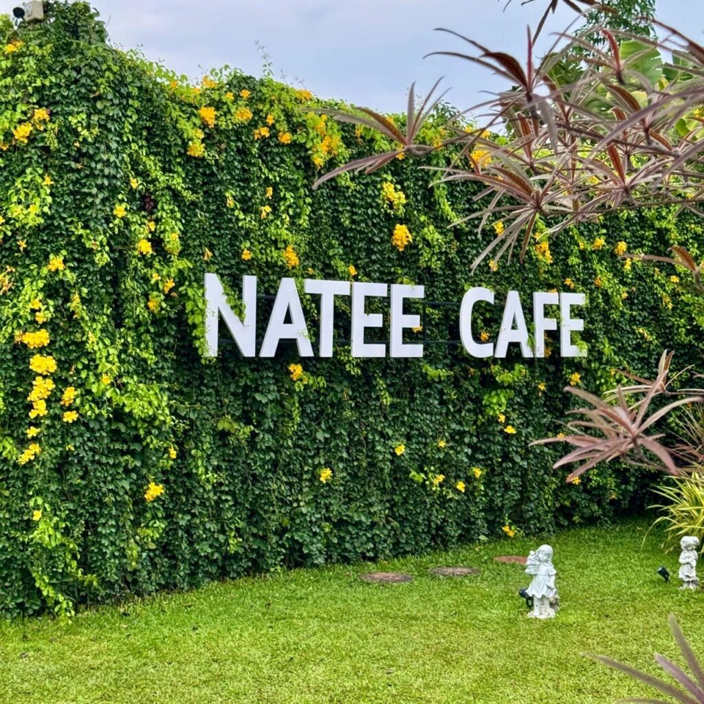 นทีคาเฟ่ (NATEE CAFE) คาเฟ่ลับป่าดิบชื้น เขียวชอุ่มที่ซ่อนตัวอยู่ใน อ.เฉลิมพระเกียรติ บุรีรัมย์