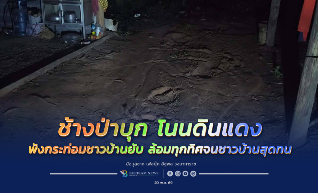 ช้างป่าบุกโนนดินแดง อีกแล้ว พังกระท่อมชาวบ้านยับ ล้อมทุกทิศจนชาวบ้านสุดทน