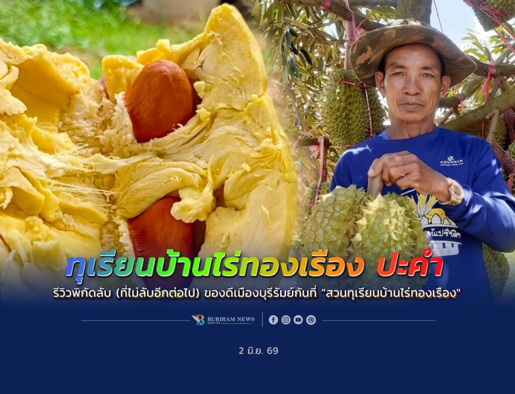 ทุเรียน บ้านไร่ทองเรือง