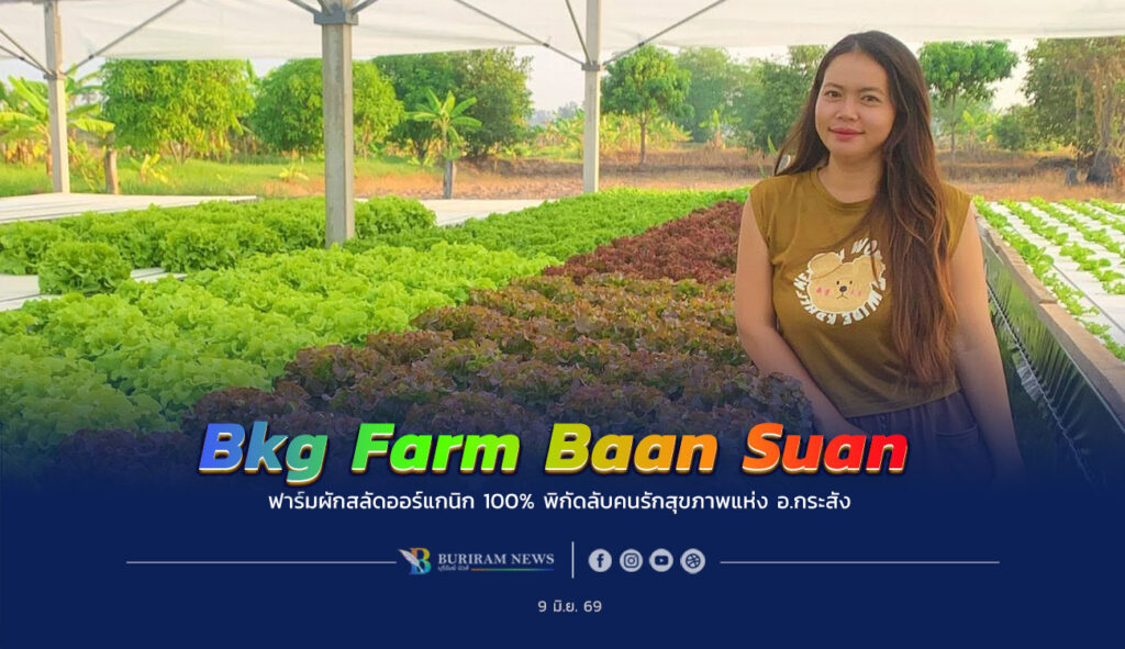 ฟาร์มผักสลัดออร์แกนิก 100% พิกัดคนรักสุขภาพที่ อ.กระสัง