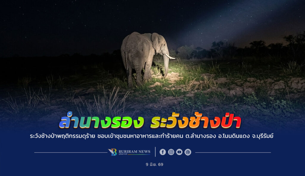 อ.โนนดินแดง บุรีรัมย์ ระวังช้างป่าพฤติกรรมดุร้าย